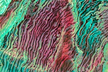 A 79F